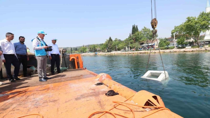 İzmit Körfezi’nde balıkçılığı desteklemek için önemli proje