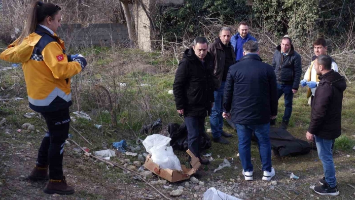 Odun keserken hayatını kaybetti