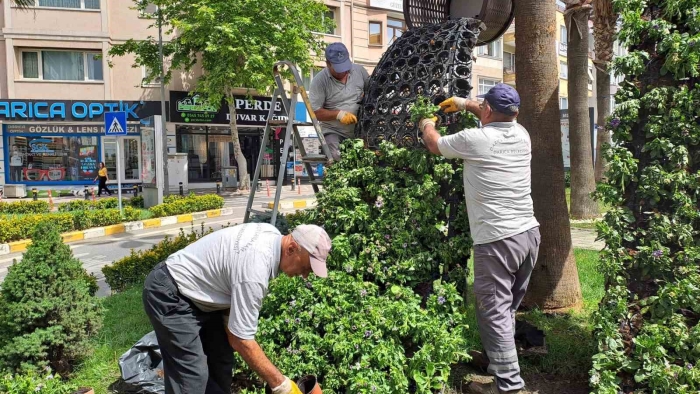 Darıca’da Kurban Bayramı öncesi hummalı çalışma sürüyor