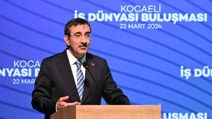 Cumhurbaşkanı Yardımcısı Yılmaz: "Dövize erişimde problemimiz yok"