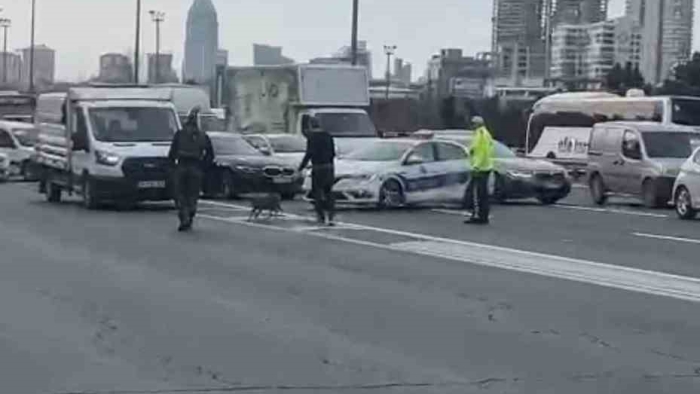 TEM’E giren tilki trafiği birbirine kattı