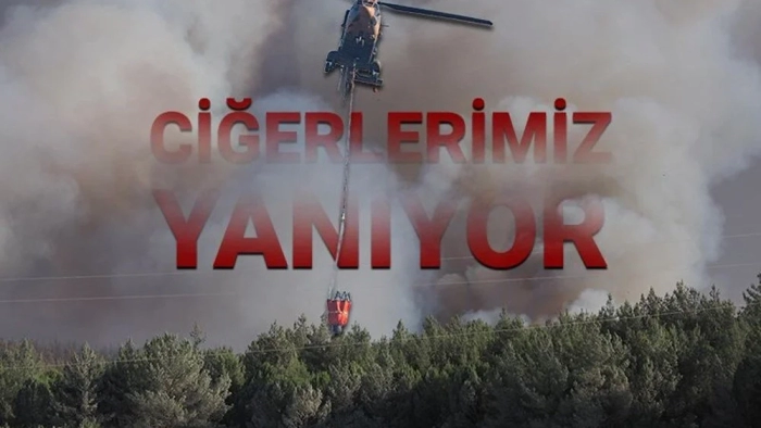 İzmir'de orman yangınları sürüyor: Ödemiş, Buca ve Çeşme'de son durum