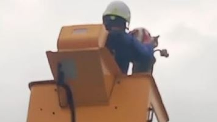 SEDAŞ ekipleri direkte mahsur kalan kediyi kurtardı