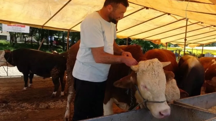 Türkiye'de şap hastalığı alarmı! Bakandan kırmızı et açıklaması geldi